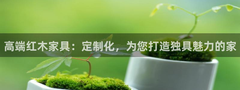 星欧娱乐登录注册