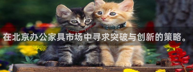 星欧娱乐官方网页