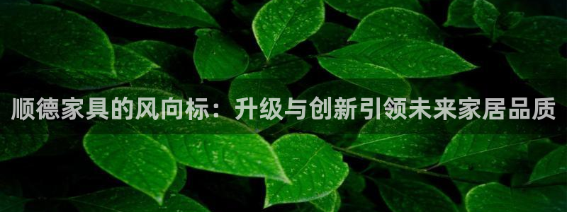 星欧娱乐注册登录