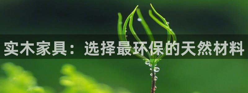 星欧娱乐官网在线登录入口