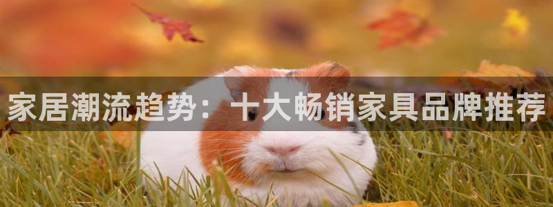 星欧娱乐扣钱步骤详解